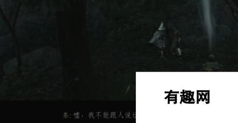 本站网2