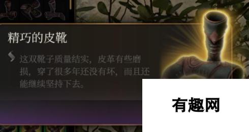 《博德之门3》精巧的皮靴介绍