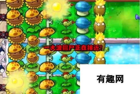 《植物大战僵尸杂交版》冒险11关植物选择，详细布局推荐