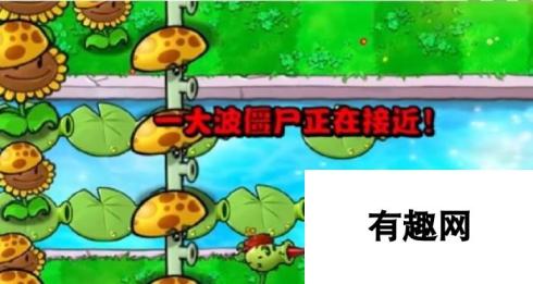 《植物大战僵尸杂交版》冒险11关植物选择，详细布局推荐