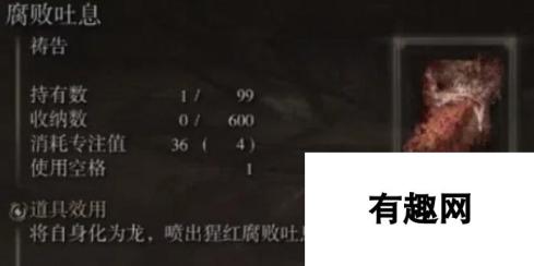 本站网3