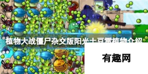 植物大战僵尸杂交版：阳光土豆雷植物介绍