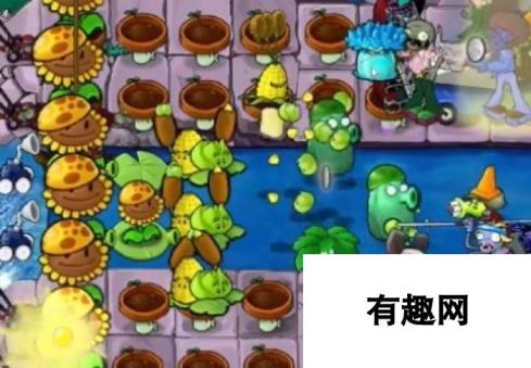 《植物大战僵尸杂交版》冒险30关植物放置方法，详细通关攻略