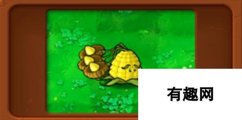 植物大战僵尸杂交版 三线玉米投手新体验