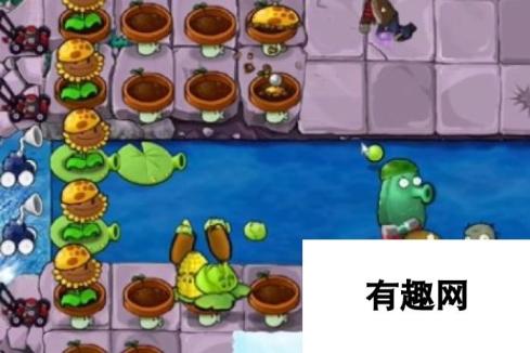 《植物大战僵尸杂交版》冒险30关植物放置方法，详细通关攻略