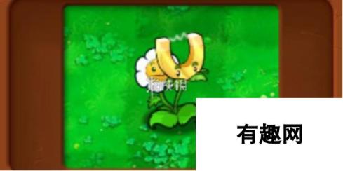 植物大战僵尸杂交版金盏吸金磁属性介绍