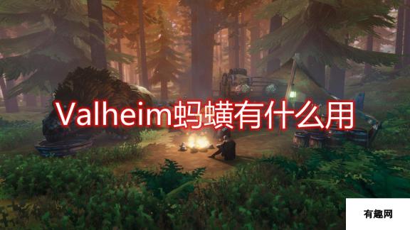 《Valheim：英灵神殿》蚂蟥作用效果介绍