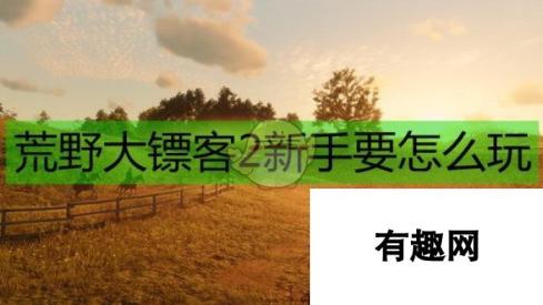 荒野大镖客2新手入门指南 从零开始玩转游戏