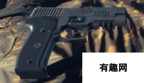 腐烂国度2武器 P226-9：强力输出